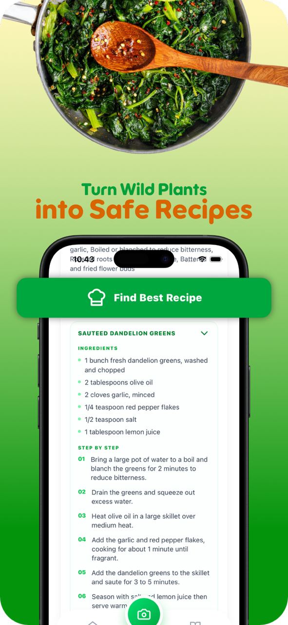 Recipe finder screen showing cooking ideas for identified wild plants