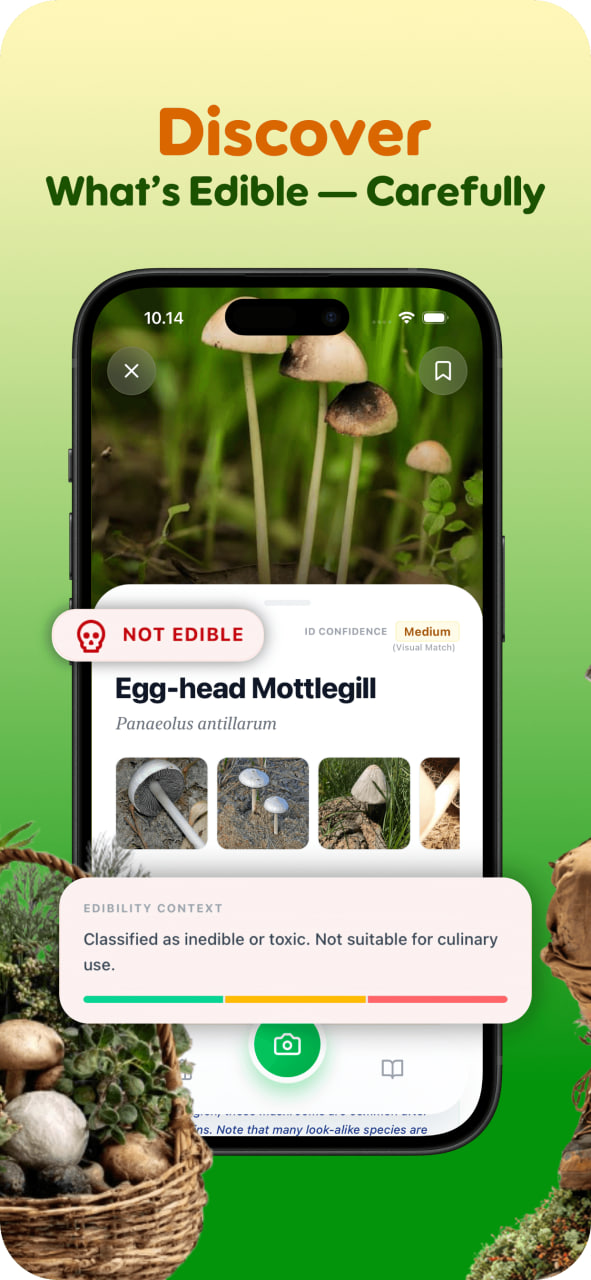 Scan result showing a plant marked as not edible with safety information